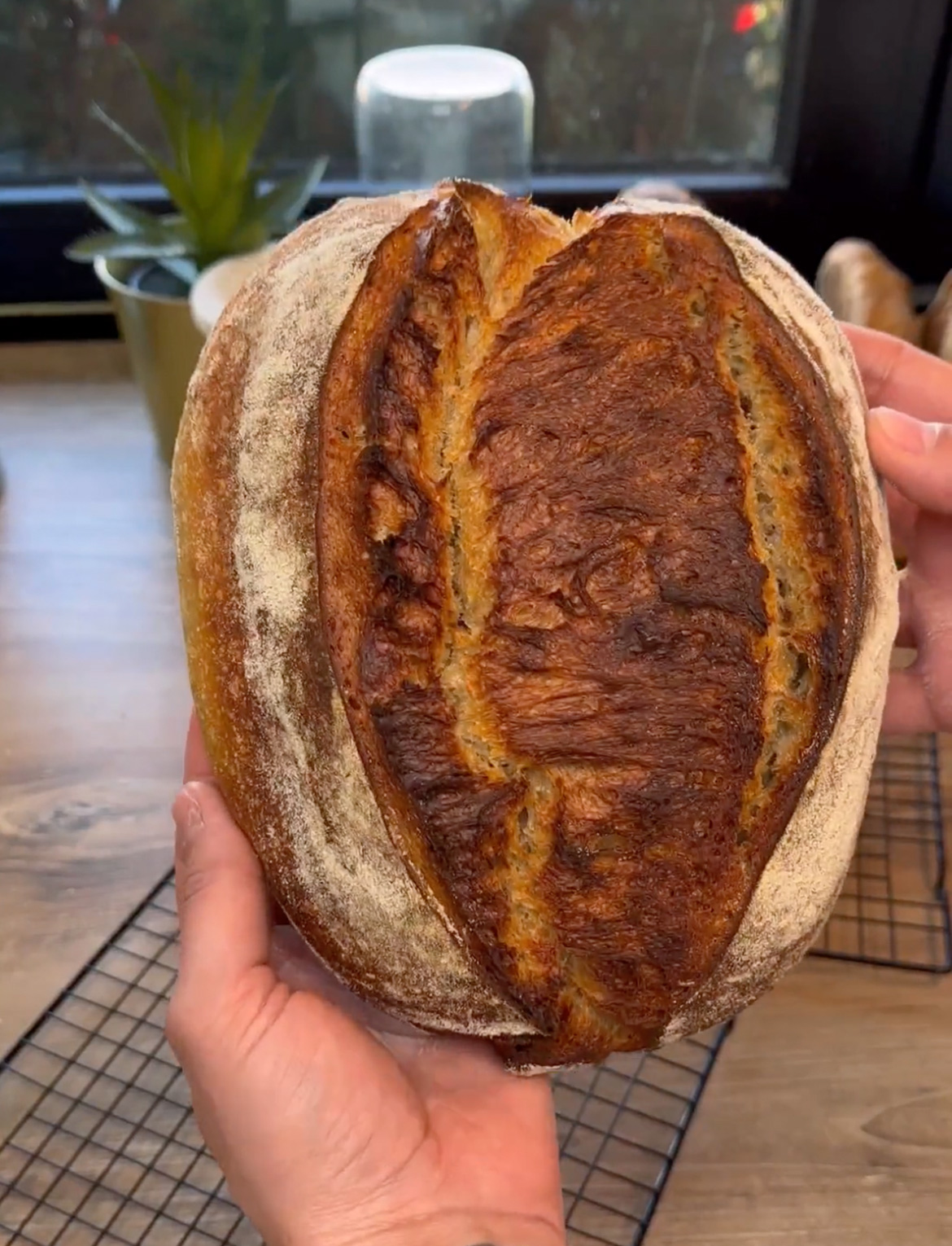 Kartoffel Dinkel Brot &amp;quot;Wake &amp; Bake&amp;quot; - Jo Semola